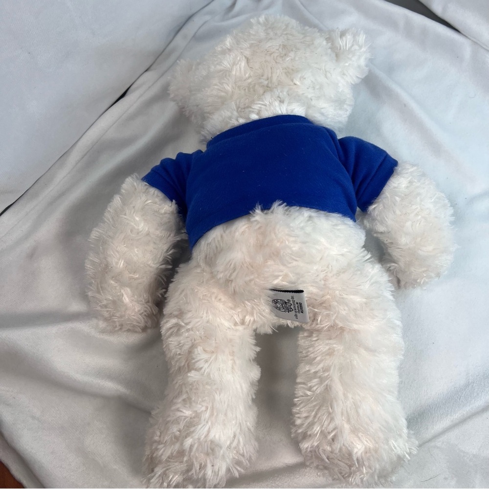 DUKE White Teddy Bear - Picture 6 of 8
